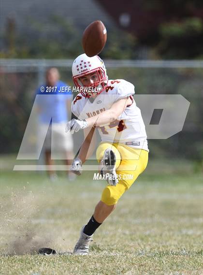 Thumbnail 2 in Cardinal Mooney @ Buchtel photogallery.