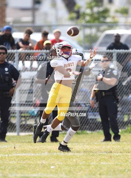 Thumbnail 2 in Cardinal Mooney @ Buchtel photogallery.
