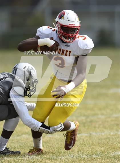 Thumbnail 1 in Cardinal Mooney @ Buchtel photogallery.