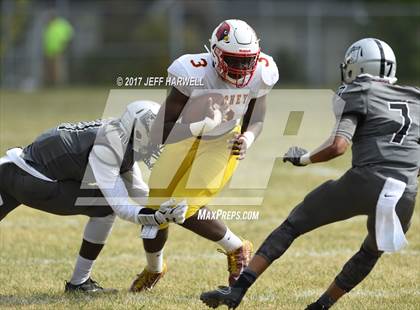 Thumbnail 2 in Cardinal Mooney @ Buchtel photogallery.