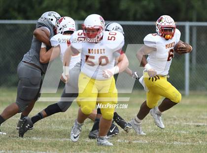 Thumbnail 1 in Cardinal Mooney @ Buchtel photogallery.
