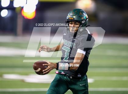 Thumbnail 2 in Wylie @ Naaman Forest photogallery.