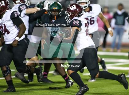 Thumbnail 3 in Wylie @ Naaman Forest photogallery.