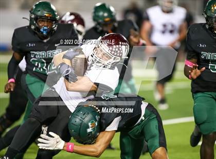 Thumbnail 3 in Wylie @ Naaman Forest photogallery.