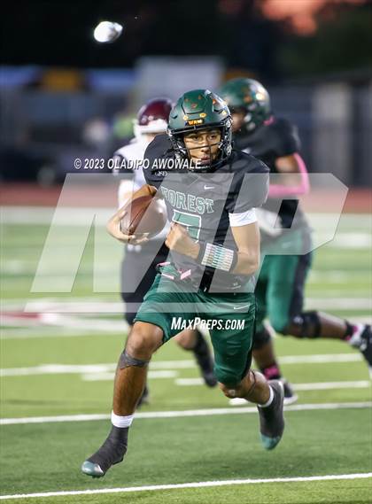 Thumbnail 1 in Wylie @ Naaman Forest photogallery.