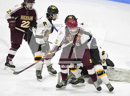 Thumbnail 1 in Sheehan vs. Daniel Hand (CIAC D3 Semifinal) photogallery.