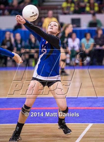Thumbnail 1 in Yuma vs. Akron(CHSAA 2A Semifinal) photogallery.