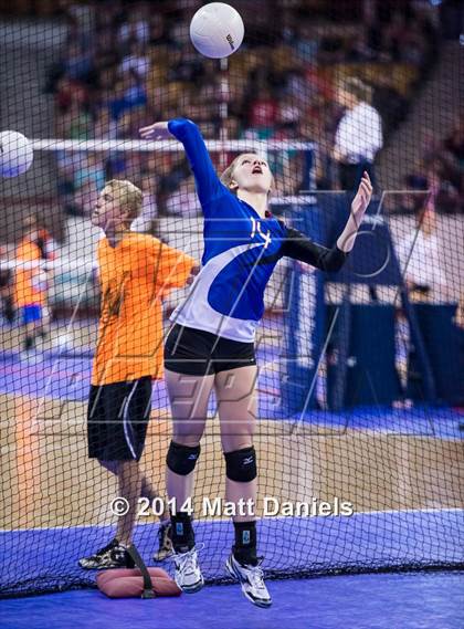 Thumbnail 1 in Yuma vs. Akron(CHSAA 2A Semifinal) photogallery.