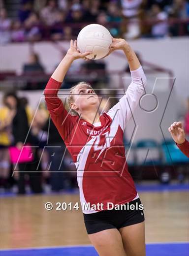 null - Photo 61