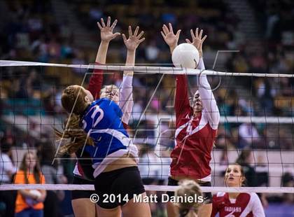 Thumbnail 3 in Yuma vs. Akron(CHSAA 2A Semifinal) photogallery.