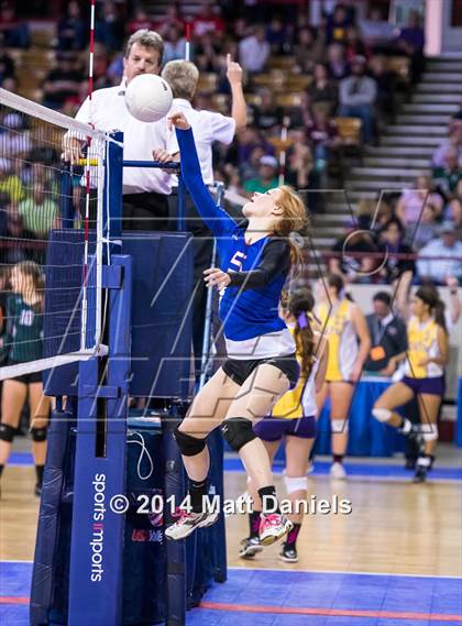 Thumbnail 1 in Yuma vs. Akron(CHSAA 2A Semifinal) photogallery.