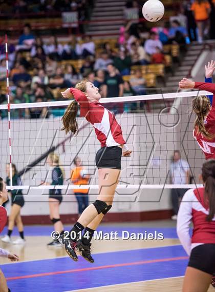 Thumbnail 1 in Yuma vs. Akron(CHSAA 2A Semifinal) photogallery.