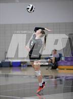 Photo from the gallery "Clearfield @ Riverton"
