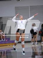 Photo from the gallery "Clearfield @ Riverton"