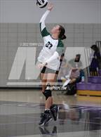 Photo from the gallery "Clearfield @ Riverton"