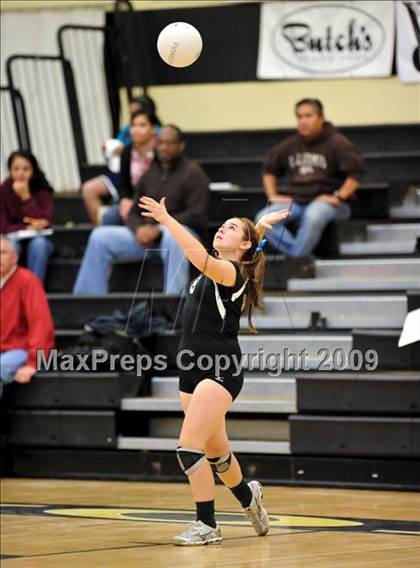 Thumbnail 1 in Whitney vs Pioneer (CIF SJS D3 Playoffs) photogallery.