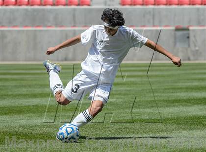 Thumbnail 1 in American Leadership Academy vs. Manti (UHSAA 2A Final) photogallery.