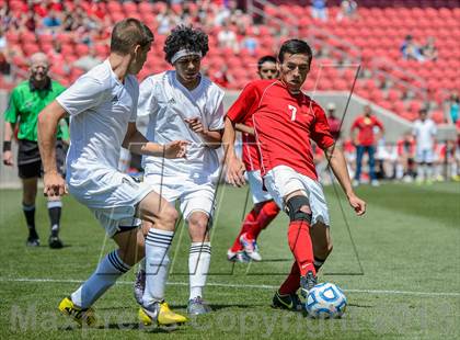 Thumbnail 3 in American Leadership Academy vs. Manti (UHSAA 2A Final) photogallery.