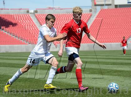 Thumbnail 1 in American Leadership Academy vs. Manti (UHSAA 2A Final) photogallery.