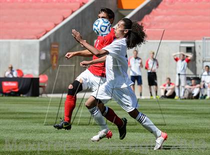 Thumbnail 1 in American Leadership Academy vs. Manti (UHSAA 2A Final) photogallery.