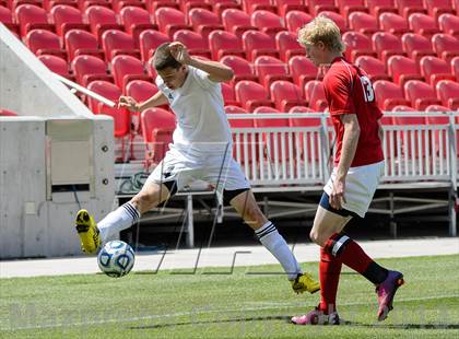 Thumbnail 3 in American Leadership Academy vs. Manti (UHSAA 2A Final) photogallery.