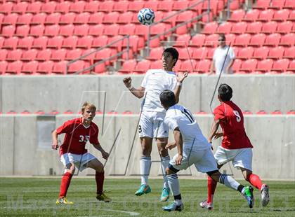 Thumbnail 1 in American Leadership Academy vs. Manti (UHSAA 2A Final) photogallery.