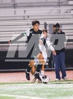 Photo from the gallery "Foothill @ Castro Valley"