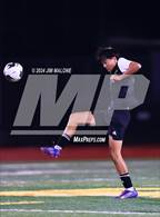 Photo from the gallery "Foothill @ Castro Valley"