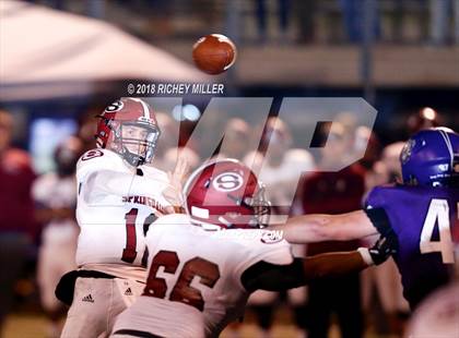 Thumbnail 1 in Springdale @ Fayetteville photogallery.