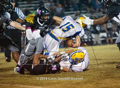 Thumbnail 3 in Richlands @ Havelock photogallery.