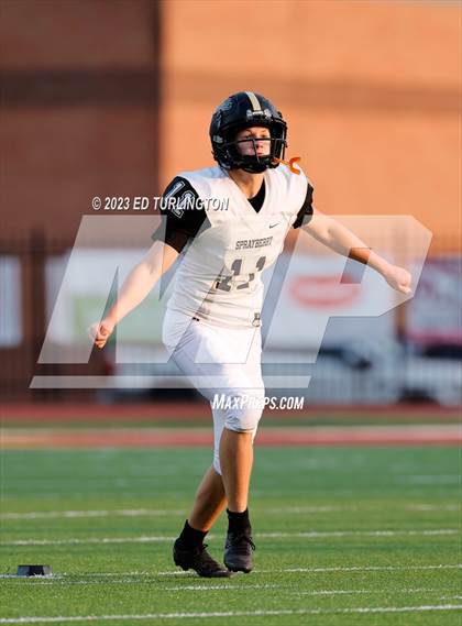 Thumbnail 3 in Sprayberry @ Lassiter photogallery.