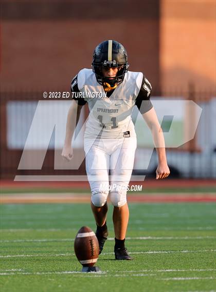 Thumbnail 1 in Sprayberry @ Lassiter photogallery.