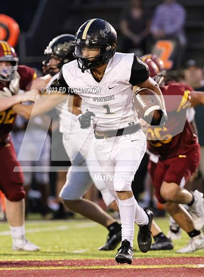 Thumbnail 1 in Sprayberry @ Lassiter photogallery.