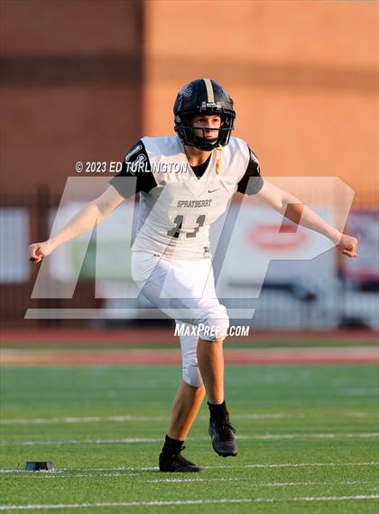 Thumbnail 2 in Sprayberry @ Lassiter photogallery.