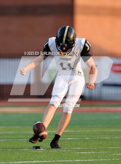 Thumbnail 1 in Sprayberry @ Lassiter photogallery.