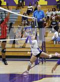 Photo from the gallery "Hillsborough @ Lennard"