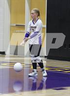 Photo from the gallery "Hillsborough @ Lennard"