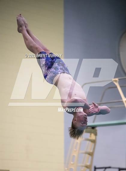 Thumbnail 3 in Dick Rush Coaches Invitational (Diving) photogallery.