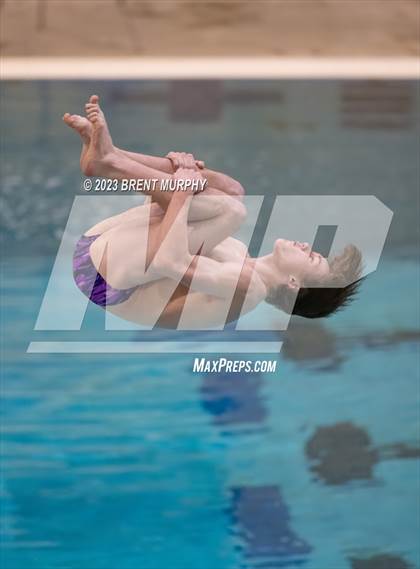 Thumbnail 1 in Dick Rush Coaches Invitational (Diving) photogallery.