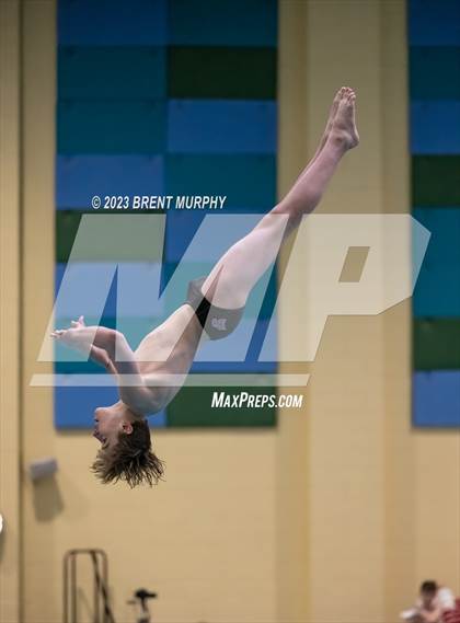 Thumbnail 1 in Dick Rush Coaches Invitational (Diving) photogallery.