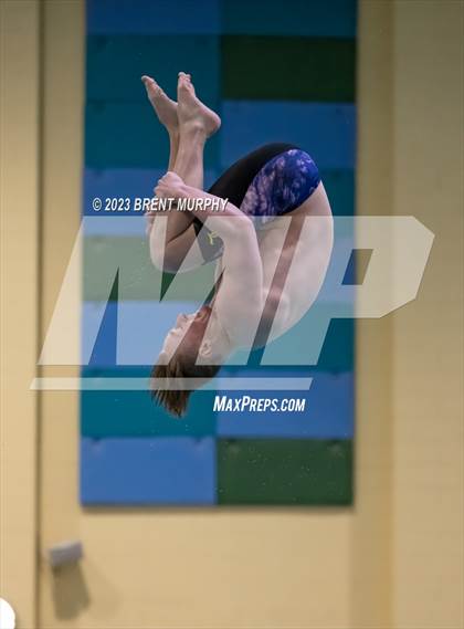 Thumbnail 1 in Dick Rush Coaches Invitational (Diving) photogallery.