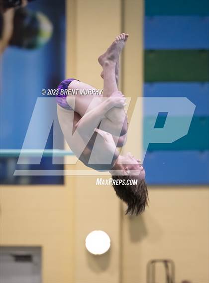 Thumbnail 2 in Dick Rush Coaches Invitational (Diving) photogallery.