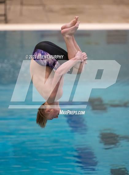 Thumbnail 1 in Dick Rush Coaches Invitational (Diving) photogallery.