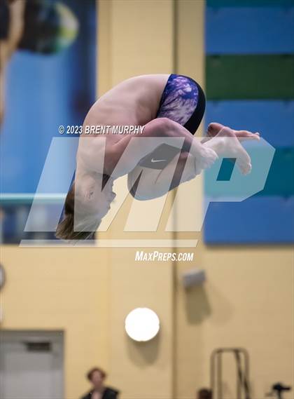 Thumbnail 3 in Dick Rush Coaches Invitational (Diving) photogallery.