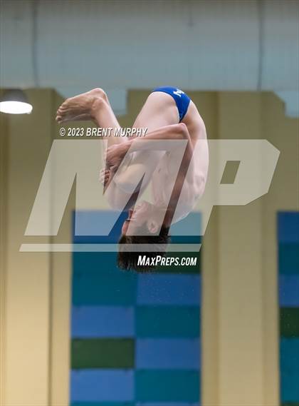 Thumbnail 3 in Dick Rush Coaches Invitational (Diving) photogallery.
