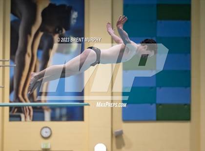 Thumbnail 2 in Dick Rush Coaches Invitational (Diving) photogallery.