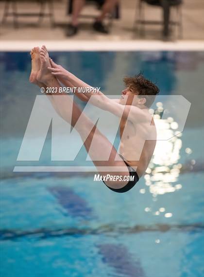 Thumbnail 2 in Dick Rush Coaches Invitational (Diving) photogallery.