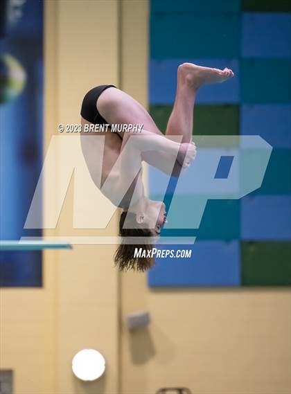 Thumbnail 1 in Dick Rush Coaches Invitational (Diving) photogallery.