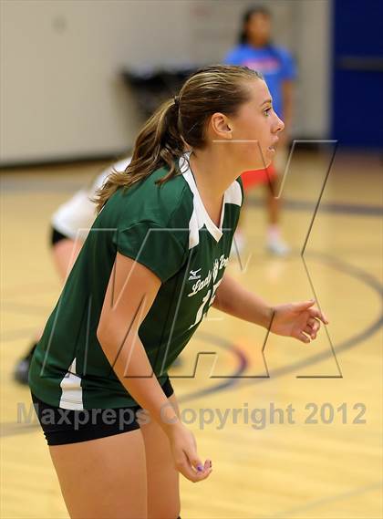 Thumbnail 2 in Ponderosa @ Christian Brothers photogallery.