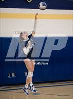 Photo from the gallery "Our Lady of Mercy @ Sutherland"